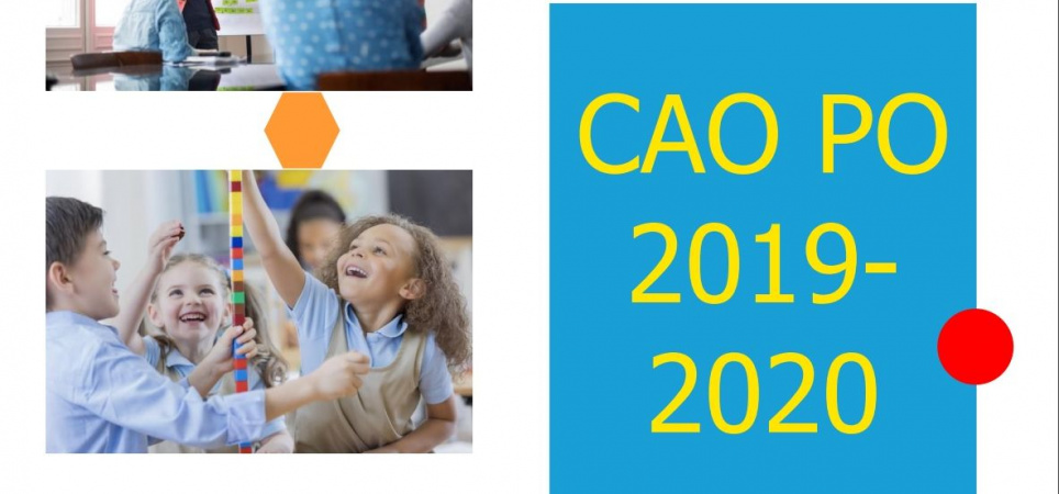 caopo2019202011