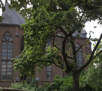 heilig-hartkerk_2019_2