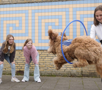 schoolhond-buddy-rob-niemantsverdriet